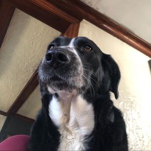 Meet your Posher, Avery